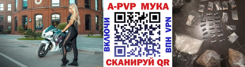 Альфа ПВП СК  Гдов 