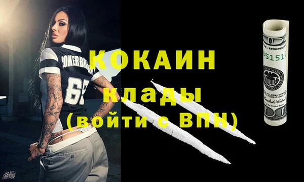 шишки Верхний Тагил