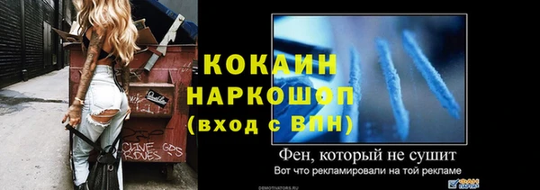 шишки Верхний Тагил