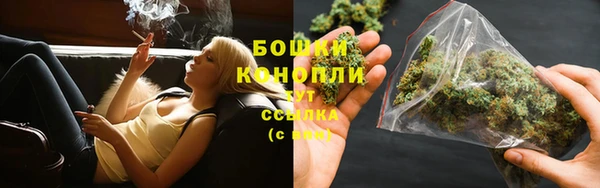шишки Верхний Тагил