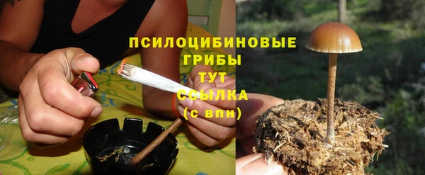 прущий лед Верея