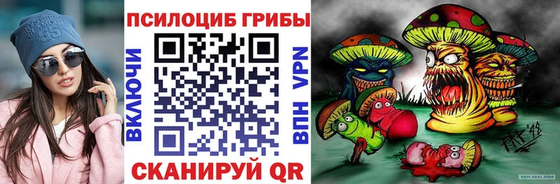 mega   купить наркотики цена  Гдов  Галлюциногенные грибы Psilocybine cubensis 